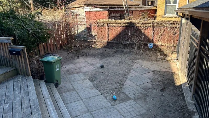 backyard landscaping before1